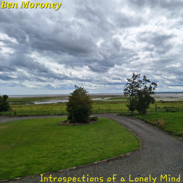 Introspections of a Lonely Mind cover art