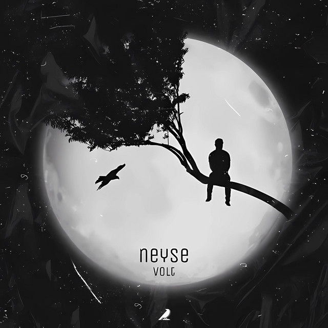 Neyse cover art
