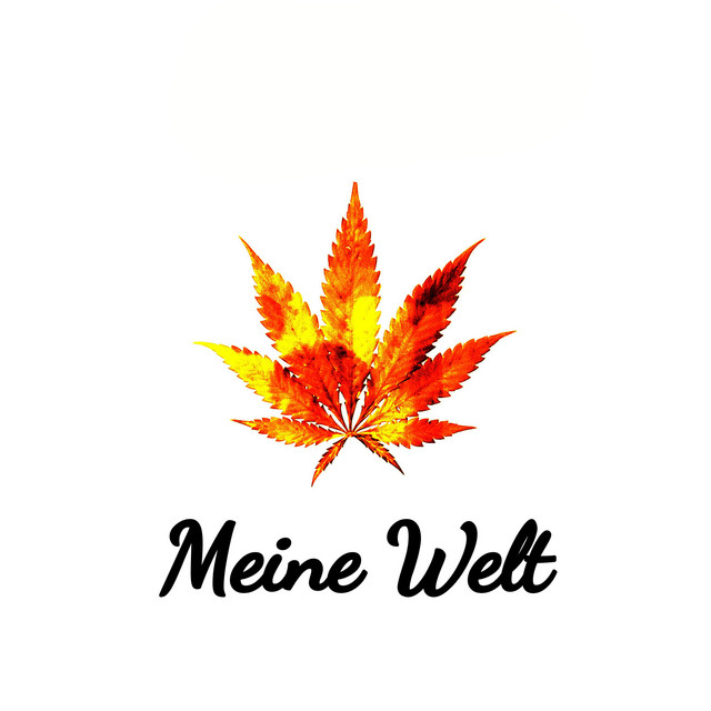 Обкладинка: Meine Welt — Ras