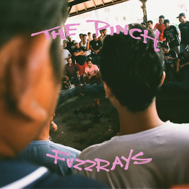 The Pinch cover art
