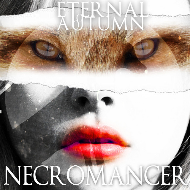 Necromancer cover
