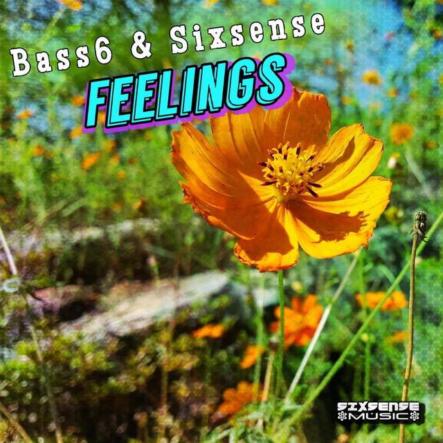Feelings cover art