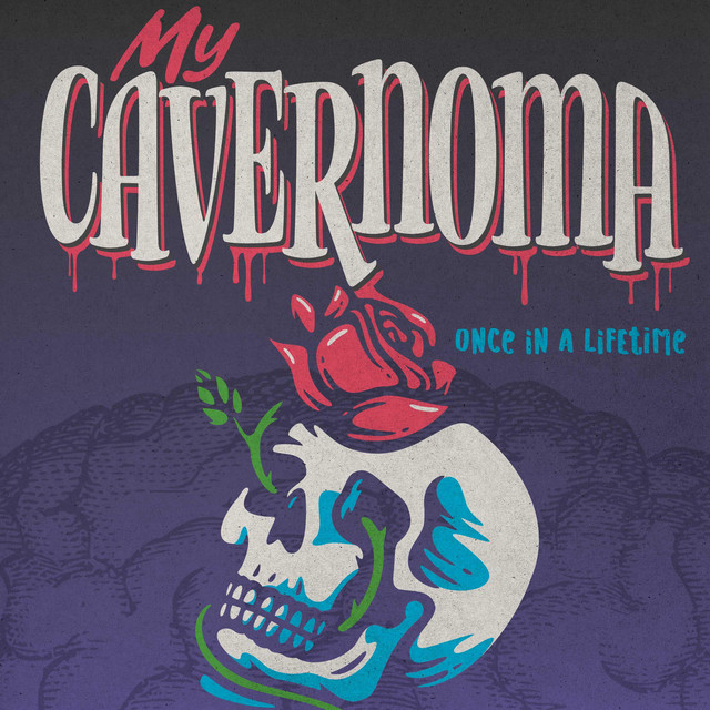 Once in a Lifetime cover art