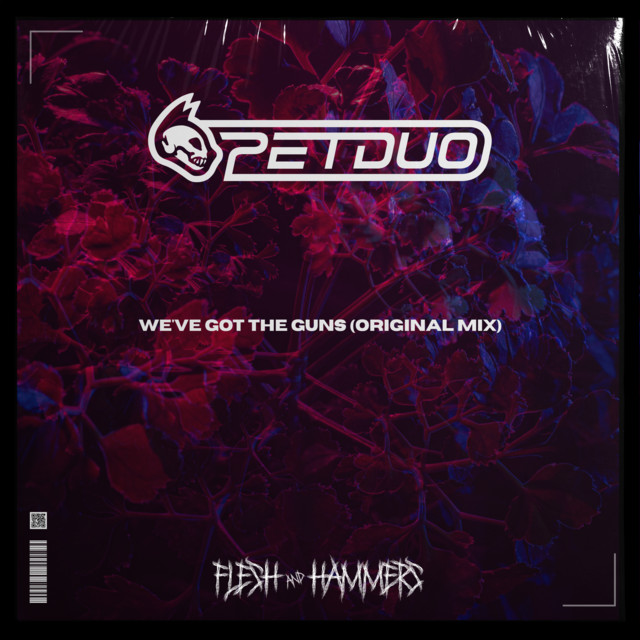 We've Got The Guns album art
