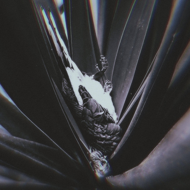 A Quiet Desolation (single)