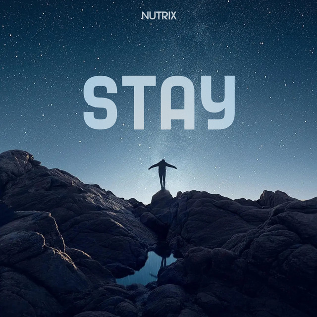 Stay cover art