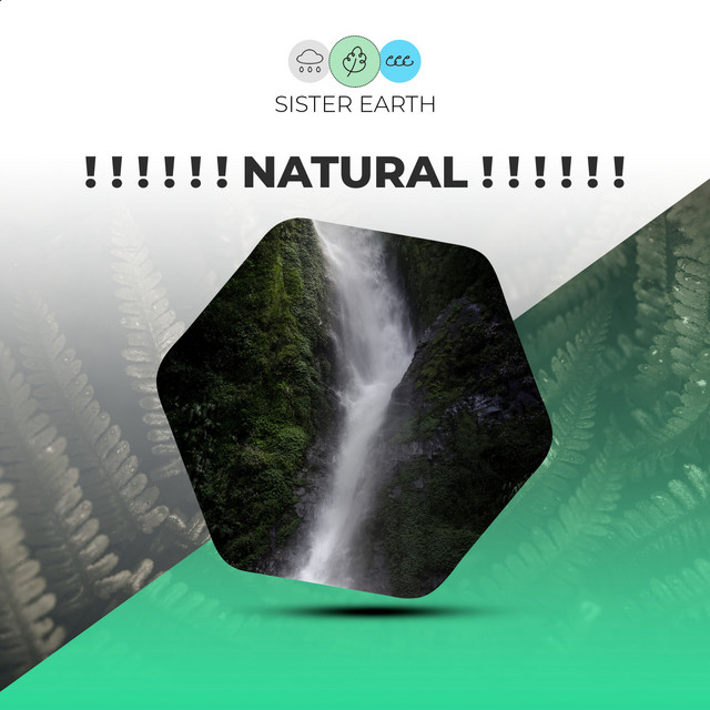 Natural ! ! ! ! ! ! - Album by Nature Sounds Nature Music | Spotify