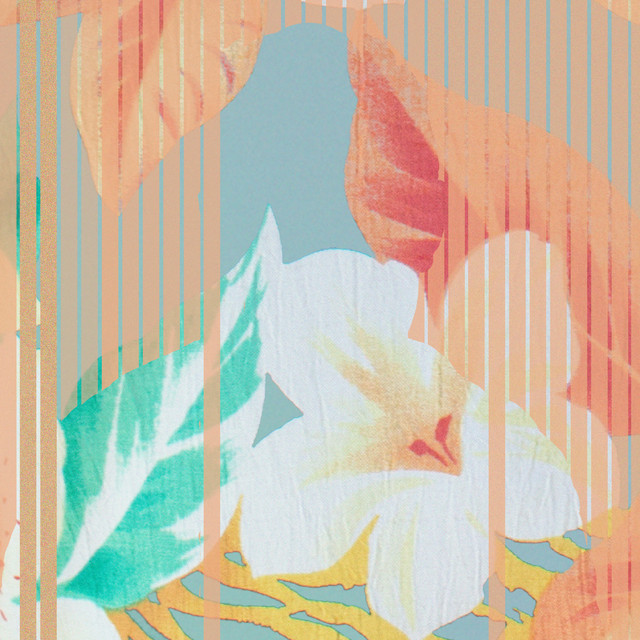 Cycle cover art