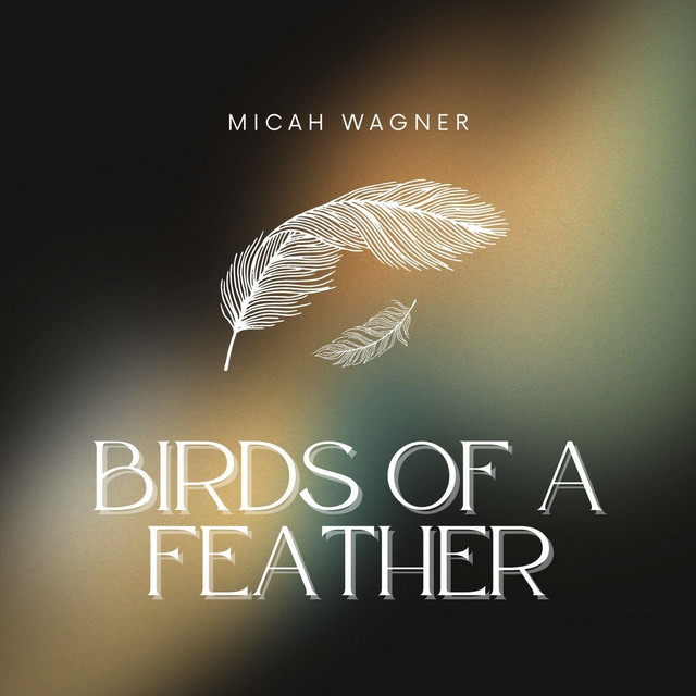 Birds of a Feather album image