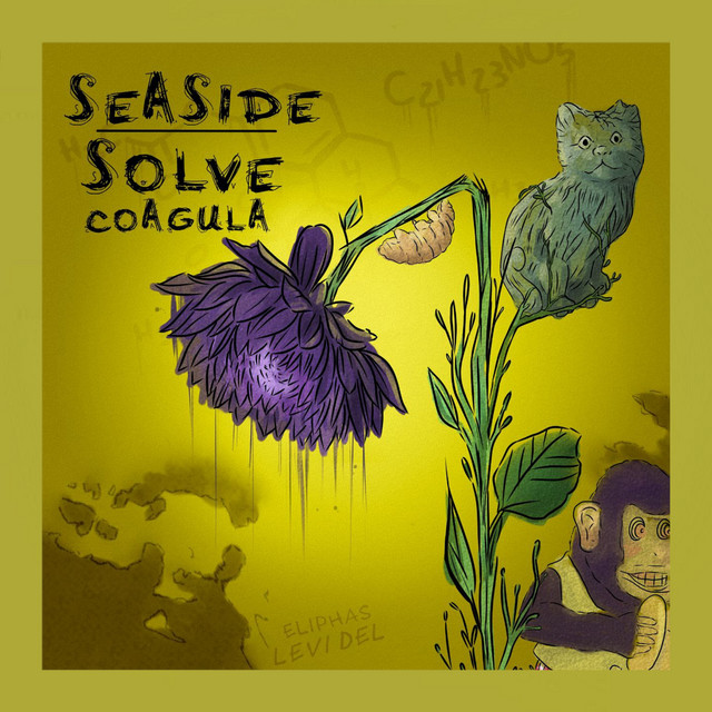 Solve Coagula cover art