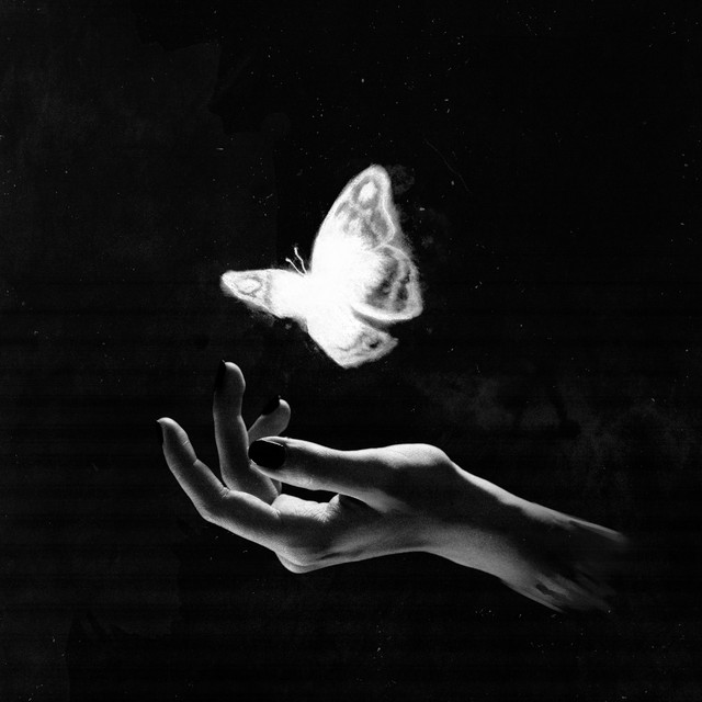 metamorph cover art