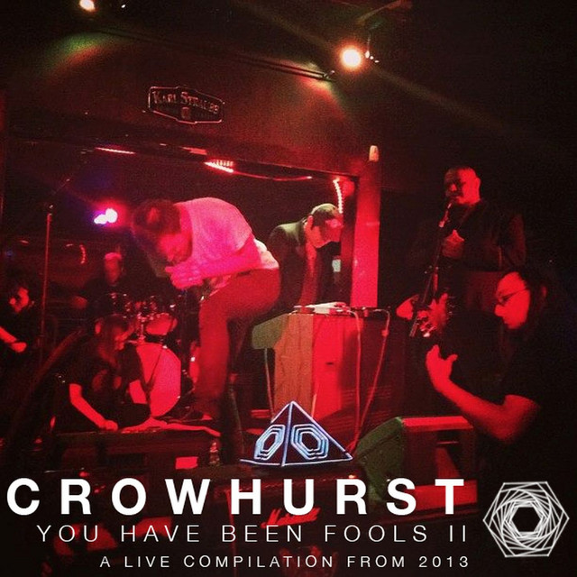 You Have Been Fools II (Live 2013) cover art