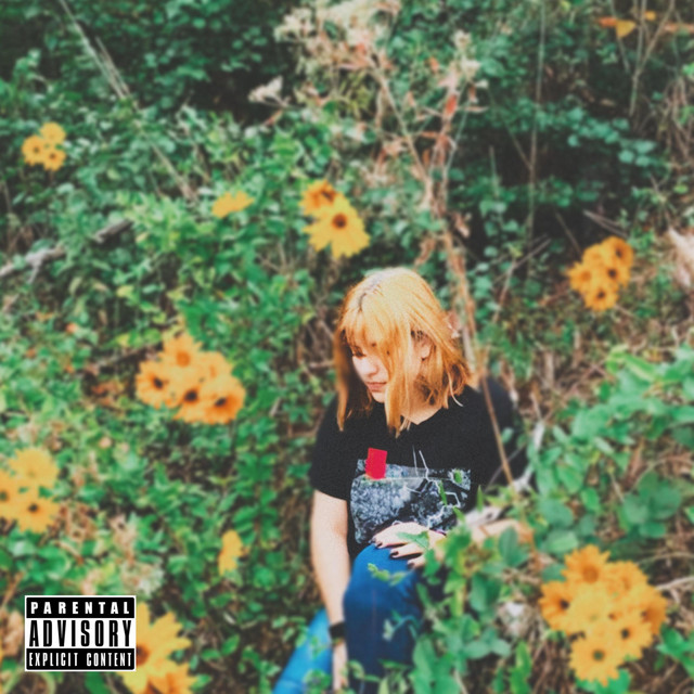 her favorite color was yellow cover art