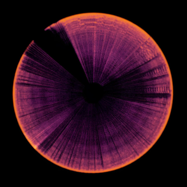 Iris (alt. version) cover art