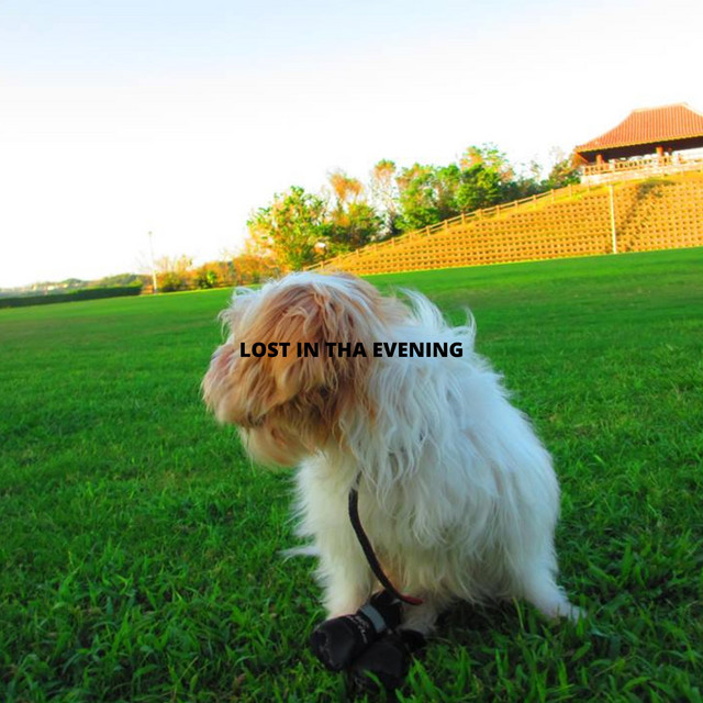 LOST IN THA EVENING cover art