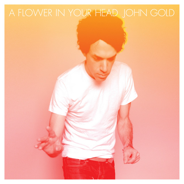 A Flower In Your Head cover art