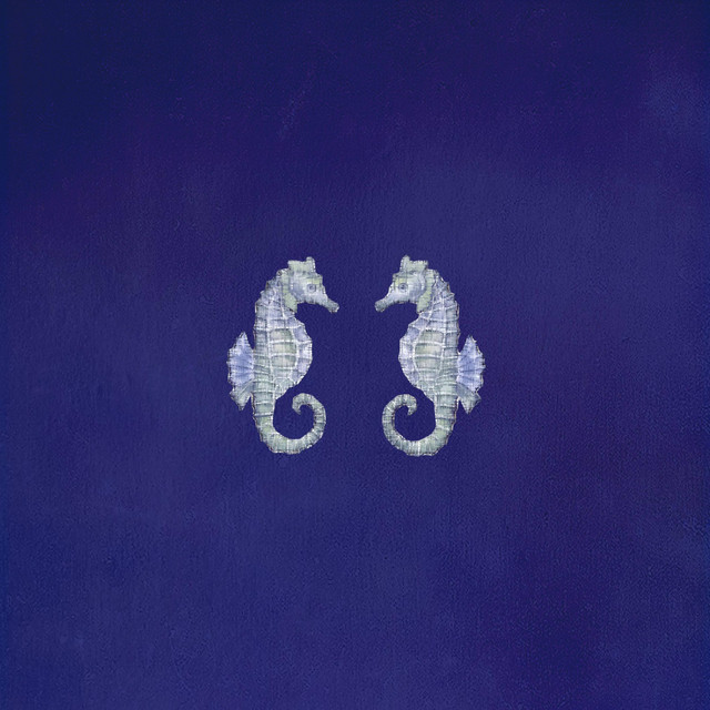 Seahorse cover art