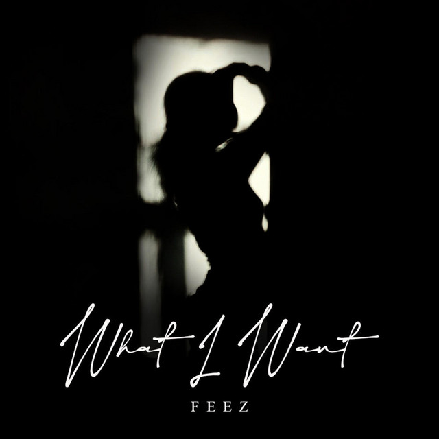 What I want - Single by Feez | Spotify