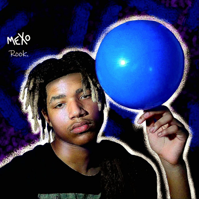 Rook. cover art