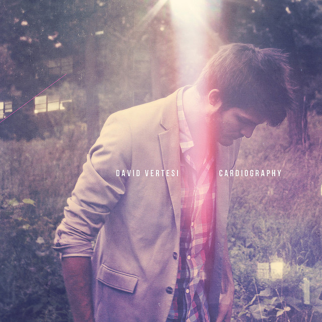 All Night, All Night, All Night - David Vertesi
