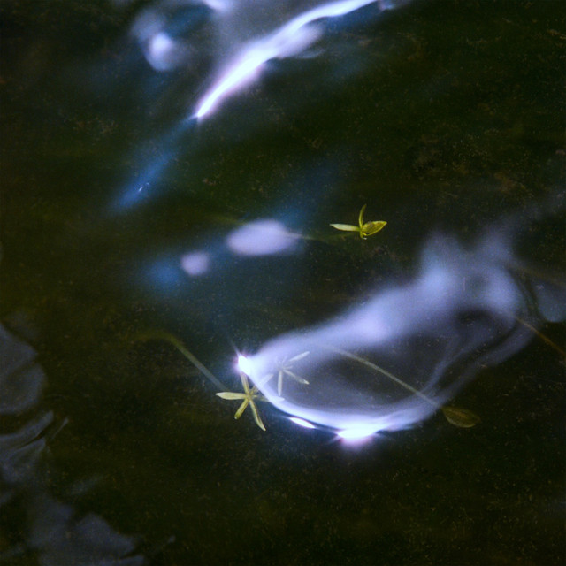 9 Point Cay cover art