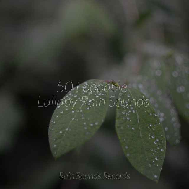 50 Loopable Lullaby Rain Sounds cover art