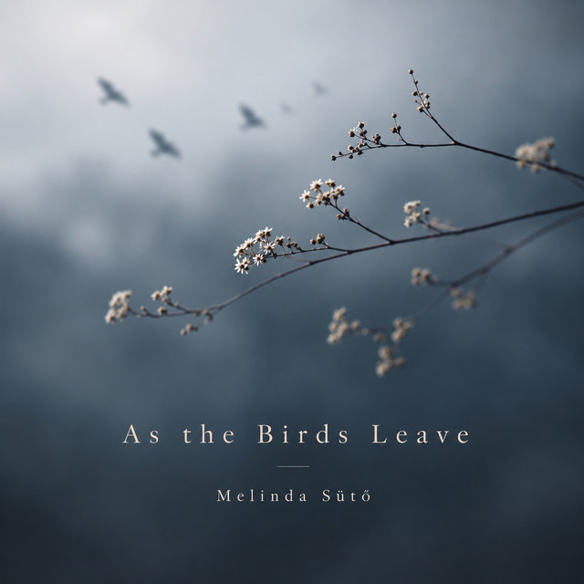 As the Birds Leave cover