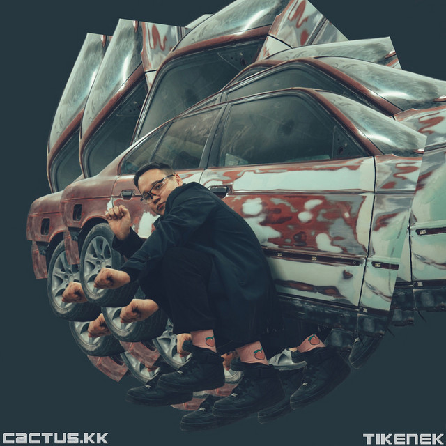 Tikenek cover art