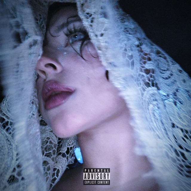 The Shape cover art