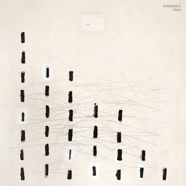 Acoustic Zoo cover art
