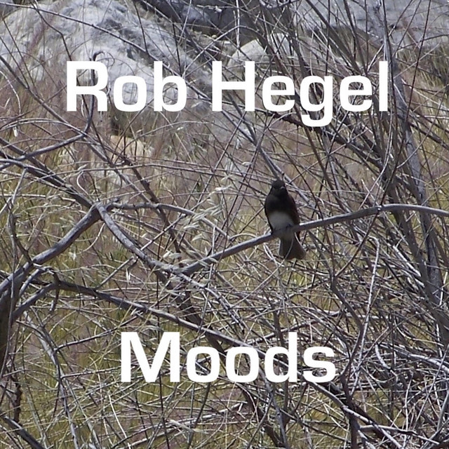 Moods cover