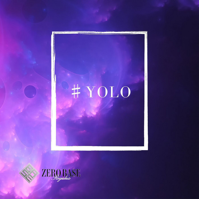 #YOLO cover art