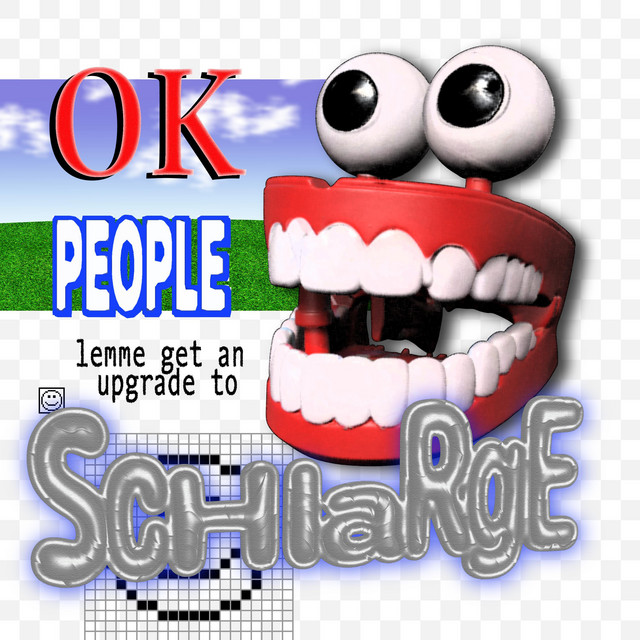 Schlarge cover art