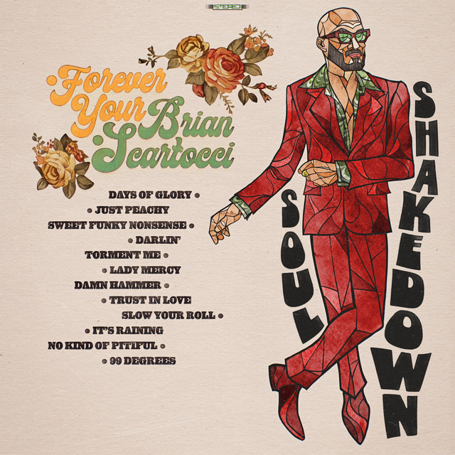 Soul Shakedown cover