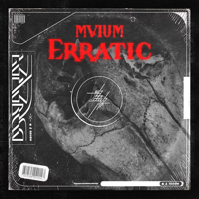 Erratic cover art