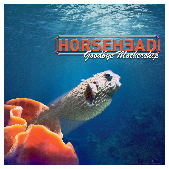 Goodbye Mothership cover