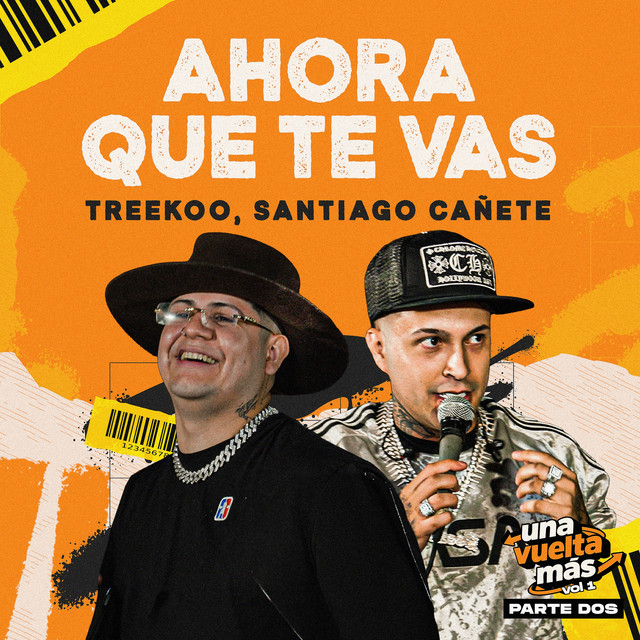 Ahora Que Te Vas - En Vivo