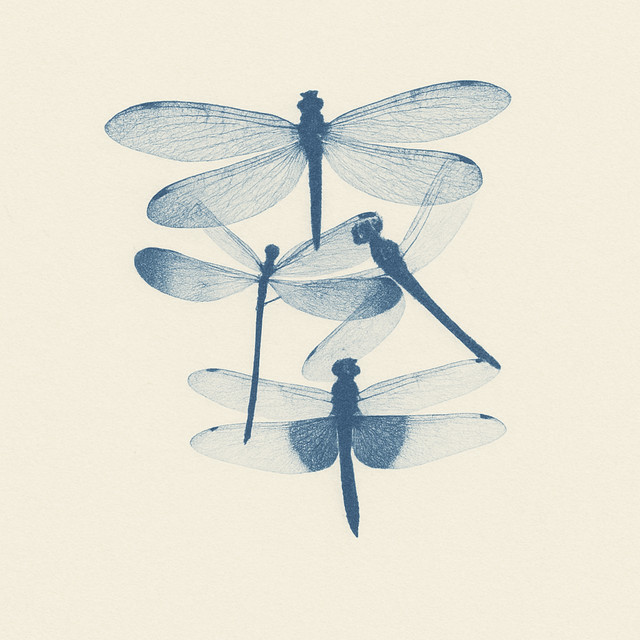 Libélulas cover art
