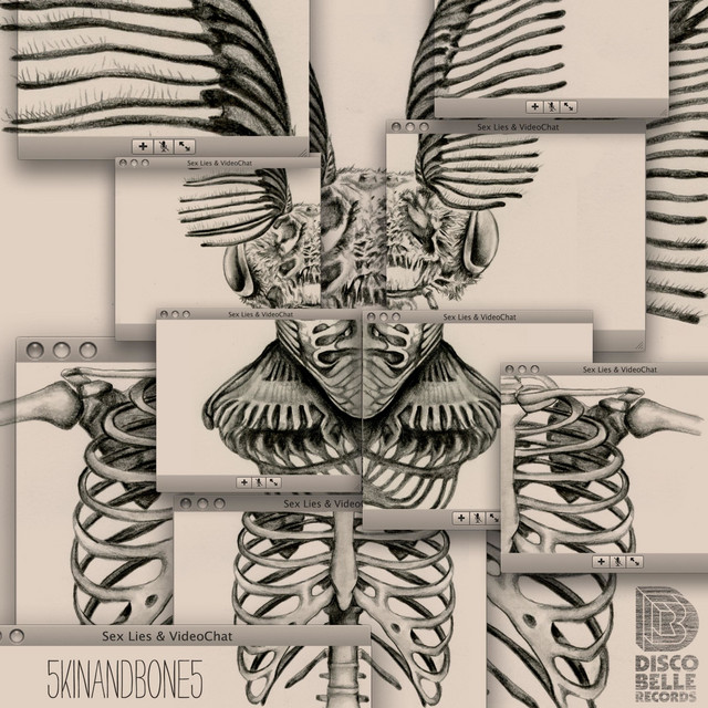Sex Lies & Videochat cover