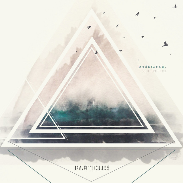 Endurance cover art