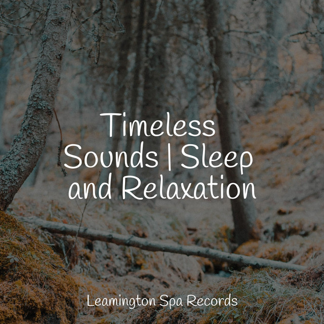 Timeless Sounds | Sleep and Relaxation - Album by Egyptian Meditation ...