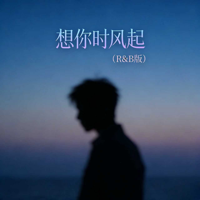 想你时风起 (R&B版) cover art