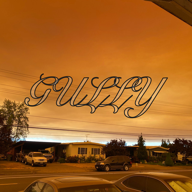 GULLY cover art