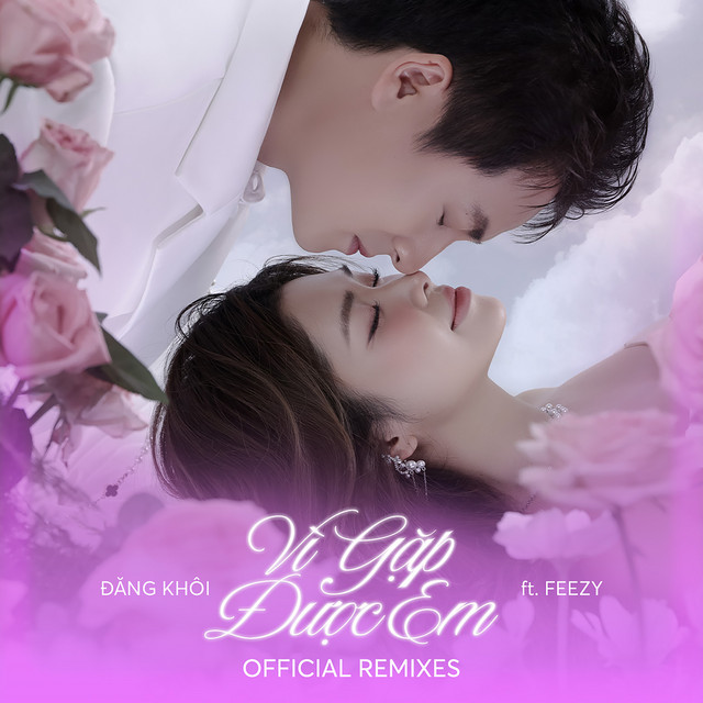 Vì Gặp Được Em (feat. FEEZY) [Official Remixes] cover art