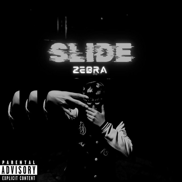 Zebra cover art