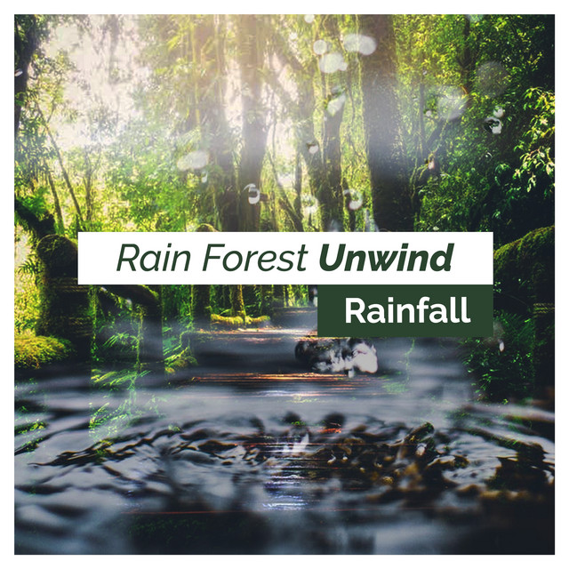 Rain Forest Unwind cover art