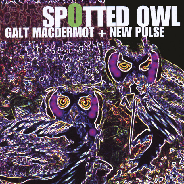 Galt MacDermot + New Pulse Jazz Band