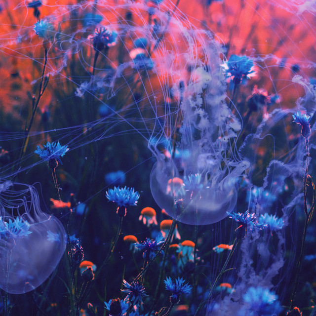 Blue cover art