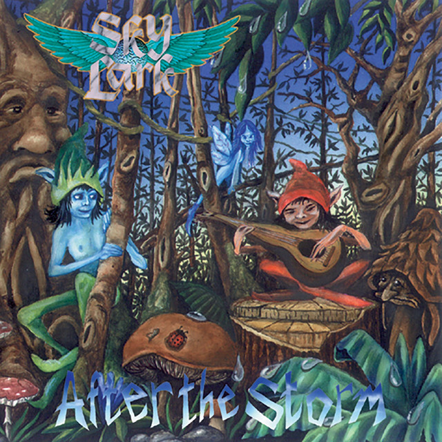 After the Storm cover art