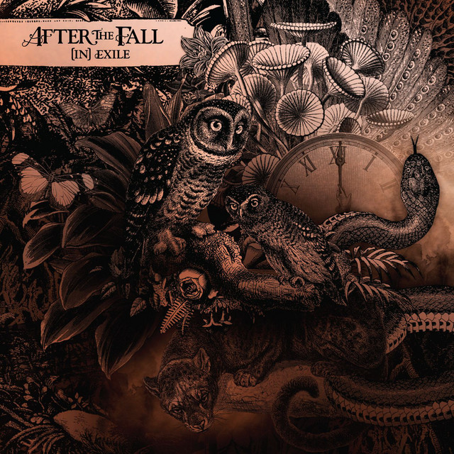 Capa de Desire - After The Fall